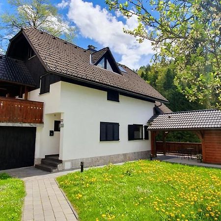 Apartment Alpska Astra Kranjska Gora Buitenkant foto