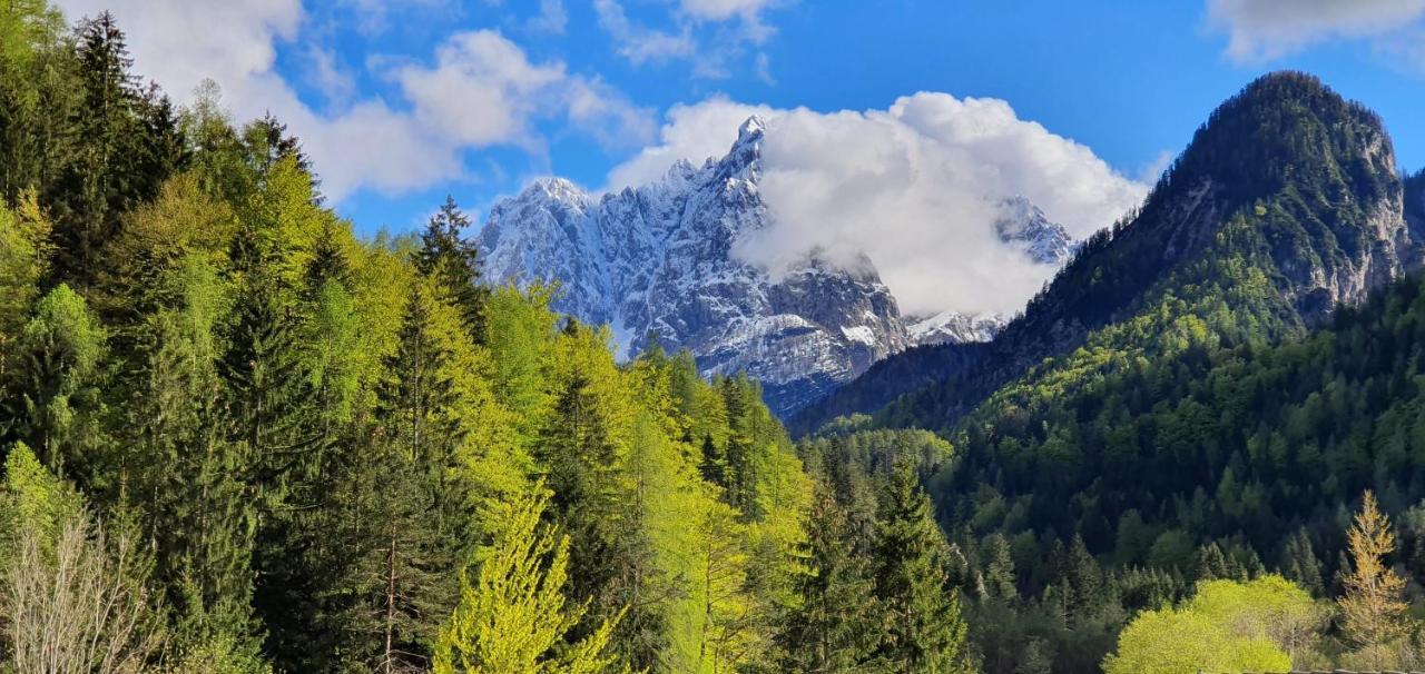 Apartment Alpska Astra Kranjska Gora Buitenkant foto