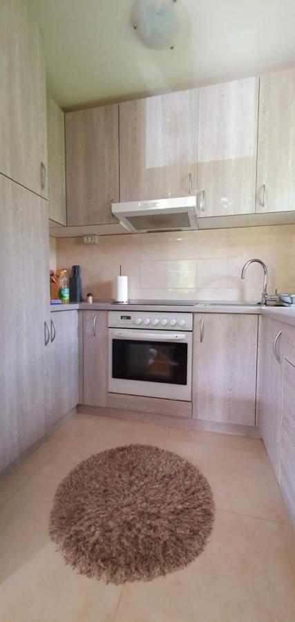 Apartment Alpska Astra Kranjska Gora Buitenkant foto