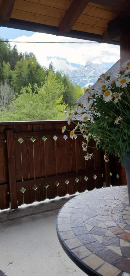 Apartment Alpska Astra Kranjska Gora Buitenkant foto